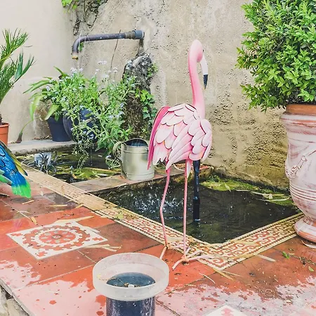 Bed & Breakfast Maison Sadina Seguret